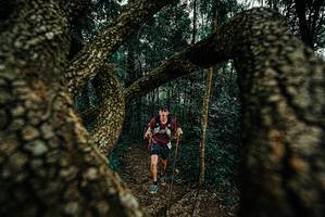 BIB: 
                            <button type="button" onclick="openModal(25673750)" class="btn btn-primary btn-sm float-right btn-popup" data-toggle="modal" data-target=".modal-high-quality">
                        <i class="fas fa-shopping-cart"></i> Add to Cart
                    </button>
                                            <button type="button" onclick="isThisMe(25673750, true)" class="btn btn-success btn-sm float-right btn-popup btn-isme hidden" data-toggle="tooltip" data-placement="bottom" title="นี่คือรูปของคุณใช่ไหม คลิกที่นี่เพื่อเอาเข้าอัลบั้ม">
                        <i class="fas fa-plus"></i> Add to album
                    </button>
                    <button type="button" onclick="isThisMe(25673750, false)" class="btn btn-warning btn-sm float-right btn-popup btn-isnotme hidden">
                        <i class="fas fa-ban"></i> Remove from album
                    </button>